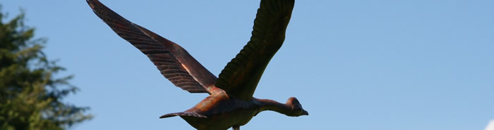 Goose in Flight weathervane: part of Greens Numbered Series