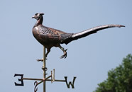Strutting Pheasant Weathervane